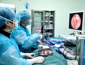 醫療技術新突破 西充縣人民醫院耳鼻咽喉科在鼻內鏡與超聲技術領域的卓越實踐